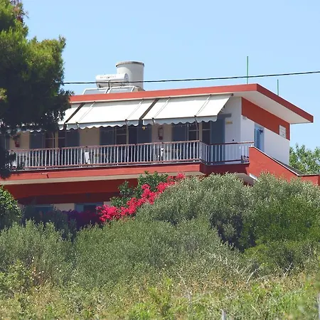 αlexandros ヴォトシ