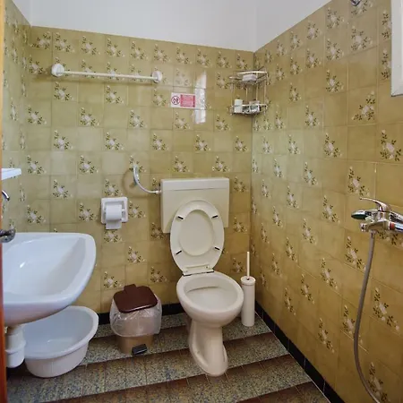 αlexandros ヴォトシ